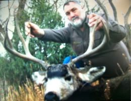 huge mule deer trophy chasers guided hunting  8 