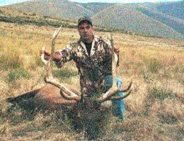 huge elk trophy chasers guided hunting and outfitter  29 