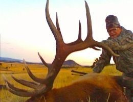 huge elk trophy chasers guided hunting and outfitter  36 